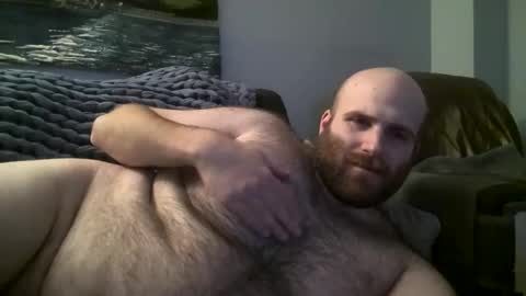 Hairiest Bear online show from 01/17/25, 07:41