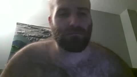 Hairiest Bear online show from 01/19/25, 07:36