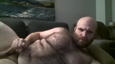 Hairiest Bear online show from 03/09/25, 06:28