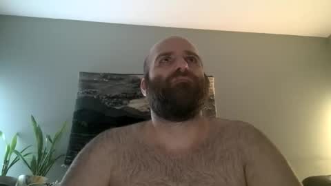 Hairiest Bear online show from 03/01/26, 05:53