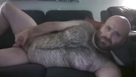 Hairiest Bear online show from 05/31/26, 08:43