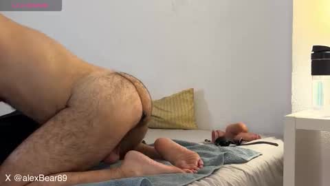 hairyarabbear online show from 12/02/25, 11:34
