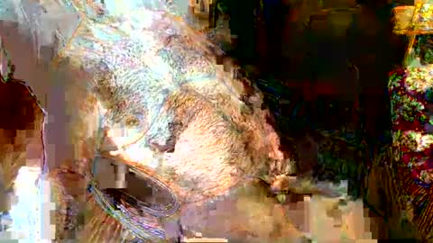 Snapshot of hairybear813 chatting on 01/05/25, 11:44 hairybear813 online show from 01/05/25, 11:44