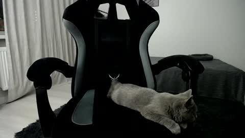 Snapshot of hairycuss chatting on 01/10/25, 05:05 Adam online show from 01/10/25, 05:05