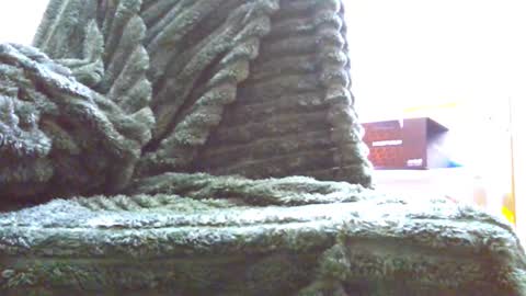 Snapshot of hairyhornytwinkk chatting on 11/14/25, 10:36 HairyHornyTwinkk online show from 11/14/25, 10:36