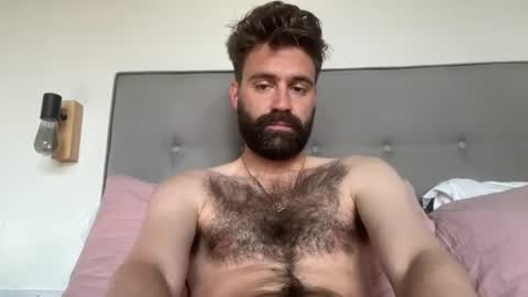 Snapshot of hairyhungbi69 chatting on 07/16/26, 03:51 hairyhungbi69 online show from 07/16/26, 03:51