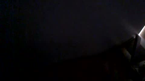 Snapshot of hairyman007 chatting on 06/24/26, 09:52 hairyman007 online show from 06/24/26, 09:52