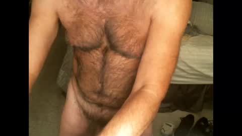 Snapshot of hairypecsguy chatting on 11/11/25, 04:45 Hairy pecs online show from 11/11/25, 04:45