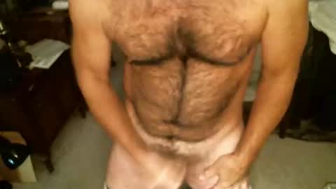 Snapshot of hairypecsguy chatting on 11/24/25, 08:41 Hairy pecs online show from 11/24/25, 08:41