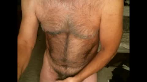 Snapshot of hairypecsguy chatting on 02/11/26, 07:24 Hairy pecs online show from 02/11/26, 07:24