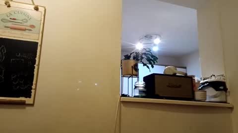 hakfin666 online show from 01/31/25, 07:07