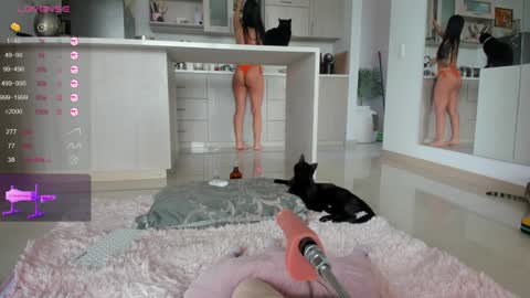 Snapshot of halliee chatting on 12/14/24, 12:44 insta Laupalacio777Next stream 01th December online show from 12/14/24, 12:44