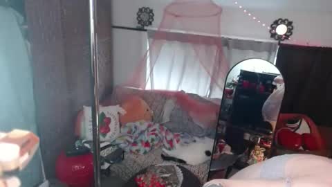 halovalentine online show from 05/05/26, 04:15