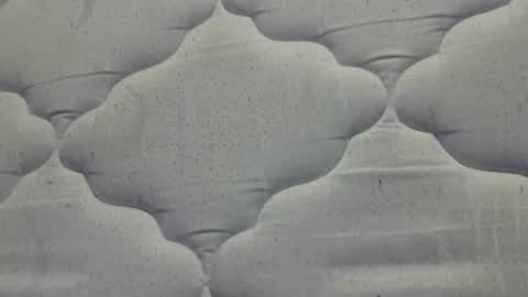 Snapshot of hamhead71 chatting on 04/15/26, 08:10 hamhead71 online show from 04/15/26, 08:10