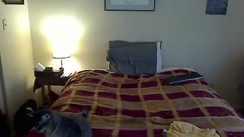 Snapshot of hammerthatthang73 chatting on 03/20/26, 10:14 hammerthatthang73 online show from 03/20/26, 10:14