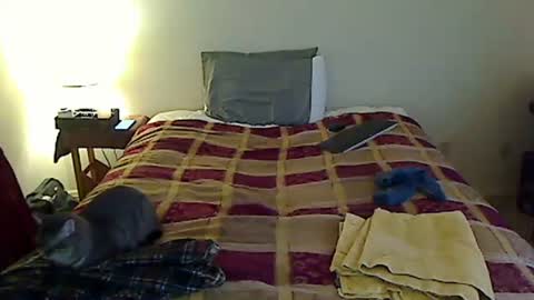 Snapshot of hammerthatthang73 chatting on 03/24/26, 11:10 hammerthatthang73 online show from 03/24/26, 11:10