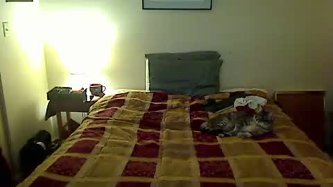 Snapshot of hammerthatthang73 chatting on 04/04/26, 05:06 hammerthatthang73 online show from 04/04/26, 05:06