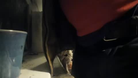 handncocknocum online show from 12/08/24, 05:22