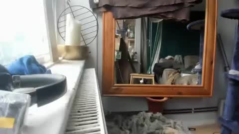 handncocknocum online show from 12/17/24, 11:17