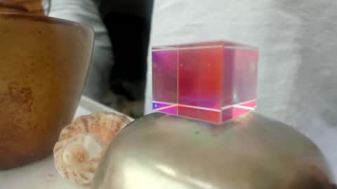 handncocknocum online show from 12/26/24, 01:54