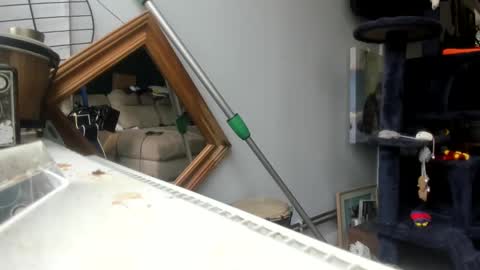 handncocknocum online show from 02/04/25, 11:16