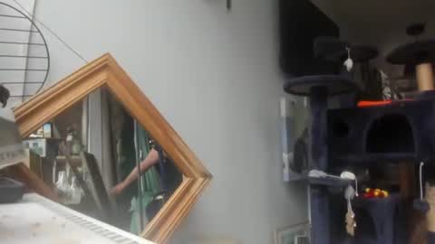 handncocknocum online show from 02/08/25, 09:24