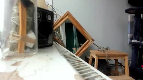 handncocknocum online show from 02/19/25, 09:06