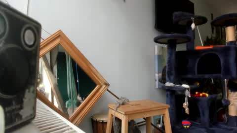 handncocknocum online show from 02/25/25, 10:47