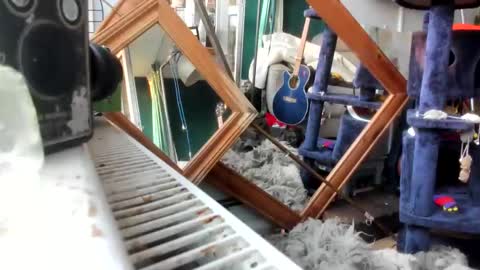 handncocknocum online show from 02/28/25, 07:15