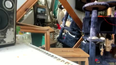 handncocknocum online show from 03/09/25, 08:18