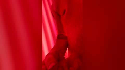 Snapshot of handsomerob42 chatting on 04/06/26, 06:47 handsomerob42 online show from 04/06/26, 06:47