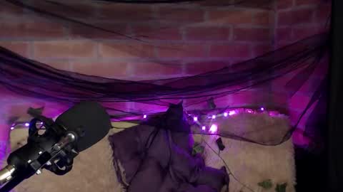 Hannah online show from 12/16/25, 02:05