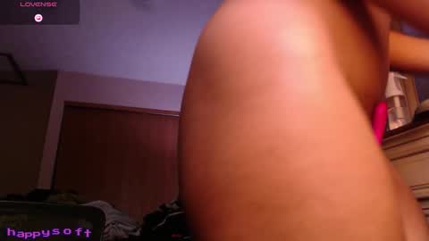 Snapshot of happysoft chatting on 03/26/26, 09:48 meatwad online show from 03/26/26, 09:48