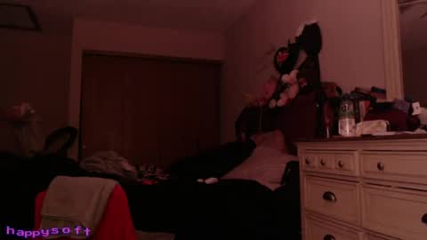 Snapshot of happysoft chatting on 04/20/26, 07:48 meatwad online show from 04/20/26, 07:48