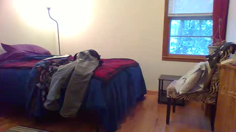 Hardy-Har online show from 12/01/25, 10:26