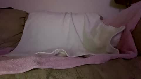 Slim West Cox online show from 02/11/26, 06:51