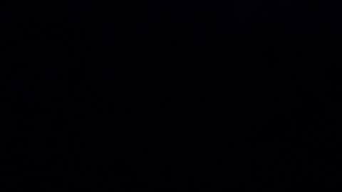 Iordan online show from 12/20/24, 10:54