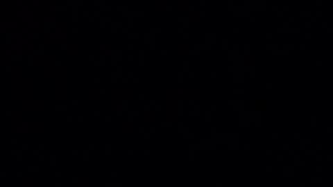 Iordan online show from 12/24/24, 01:38