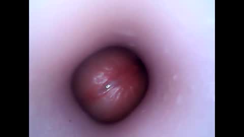 hardhammerboy online show from 12/26/24, 07:49