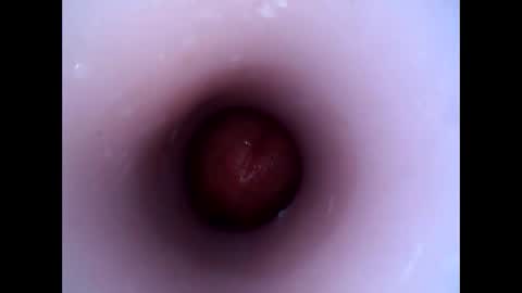 hardhammerboy online show from 12/29/24, 08:26