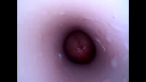 hardhammerboy online show from 12/30/24, 04:08