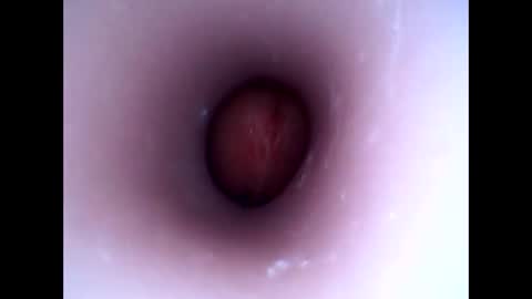 hardhammerboy online show from 01/01/25, 08:26