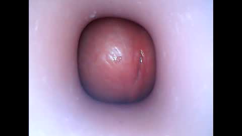 hardhammerboy online show from 01/06/25, 06:31