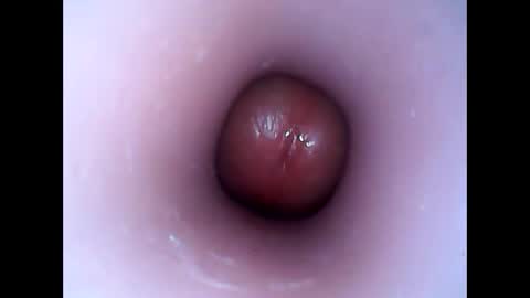 hardhammerboy online show from 01/12/25, 07:53