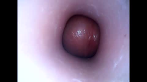 hardhammerboy online show from 01/16/25, 08:03