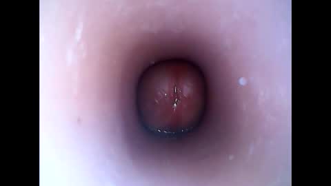 hardhammerboy online show from 01/19/25, 08:19