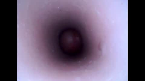 hardhammerboy online show from 01/20/25, 03:28