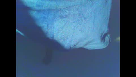 hardning online show from 12/28/24, 05:12