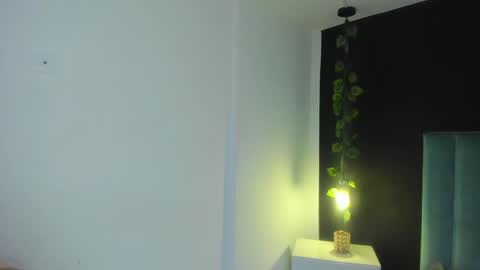 harleyqueen_robbie online show from 12/21/24, 11:34