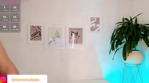 Harmony online show from 11/08/25, 07:12